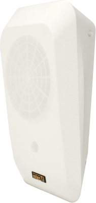 IWS-10 (i)