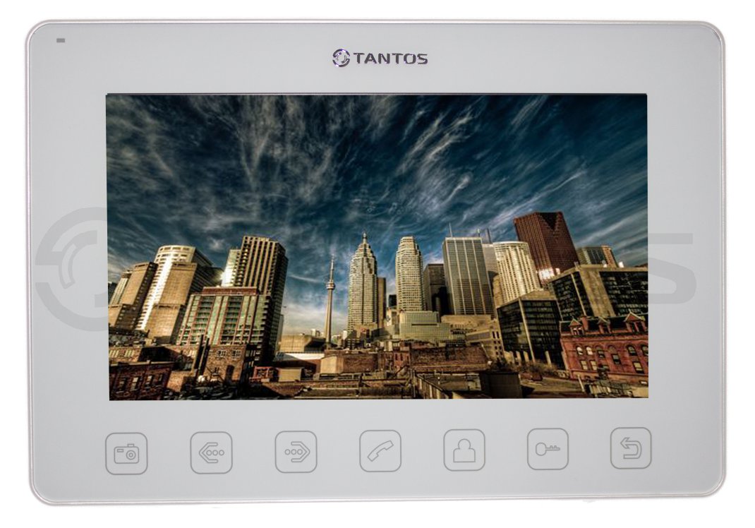 TANGO SD